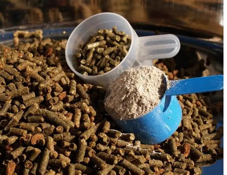Equine Supplements