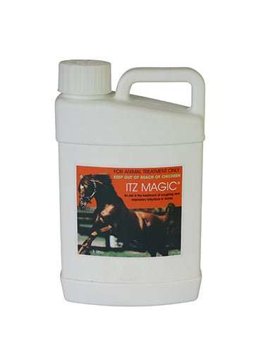 ITZ MAGIC