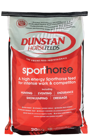 Dunstan Sporthorse image 0