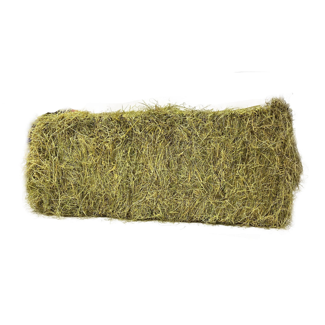 HAY - MEADOW