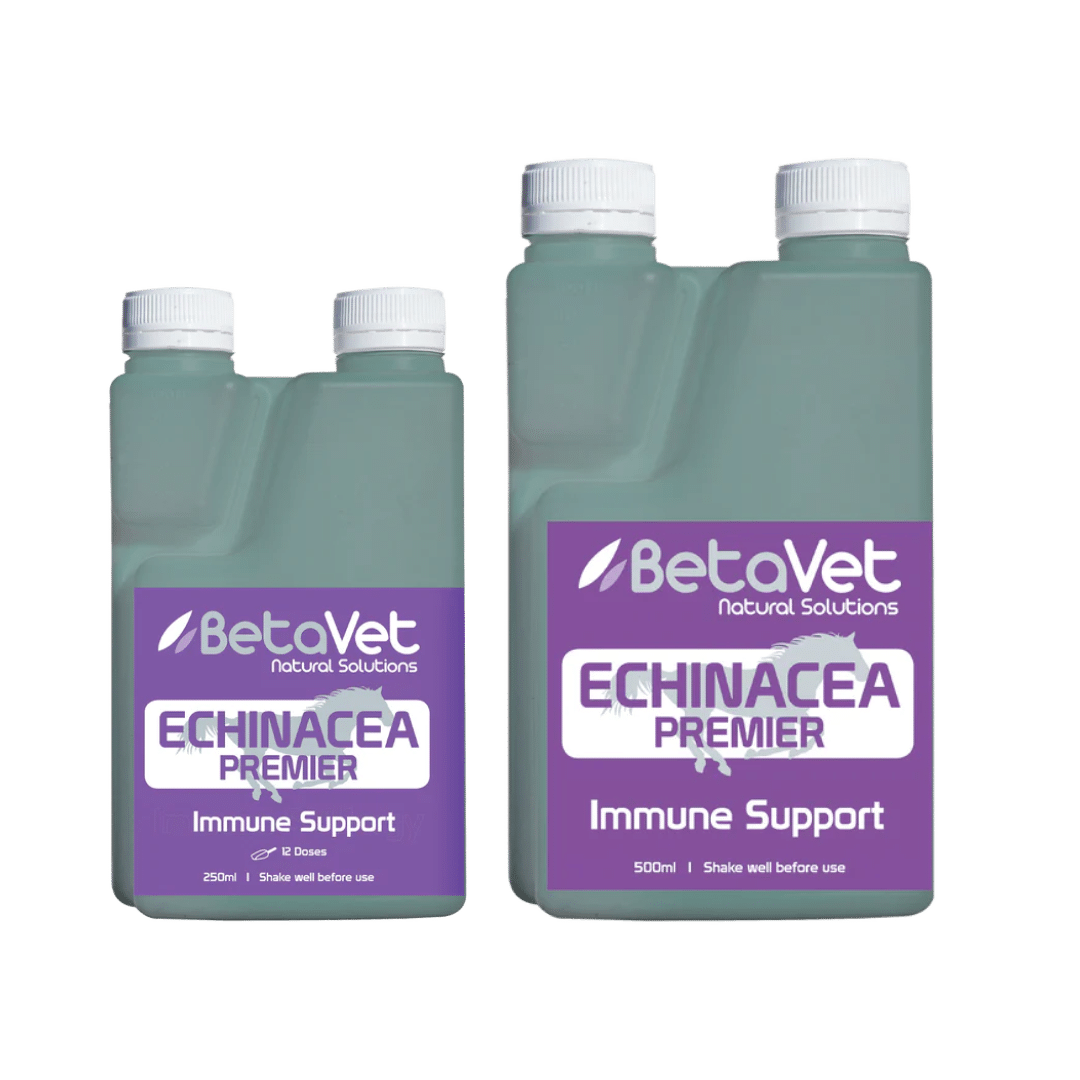 BETAVET ECHINACEA PREMIER