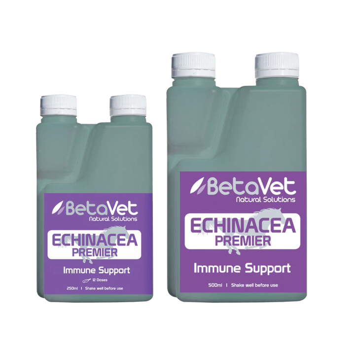 BETAVET ECHINACEA PREMIER
