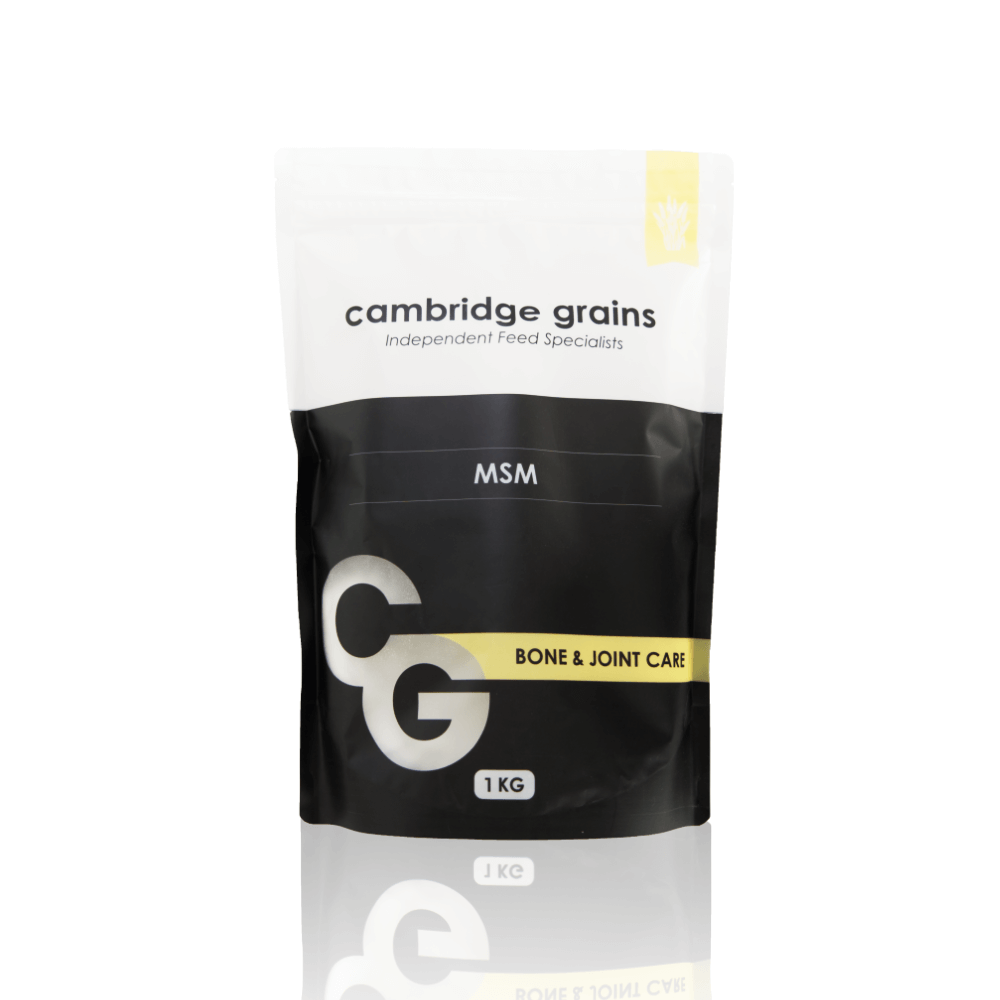CG MSM