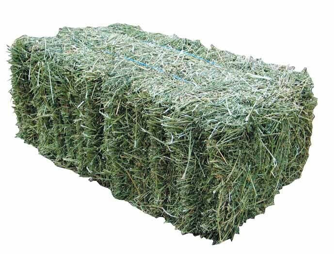 LUCERNE HAY