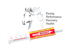 PRO DOSA BOOST PASTE