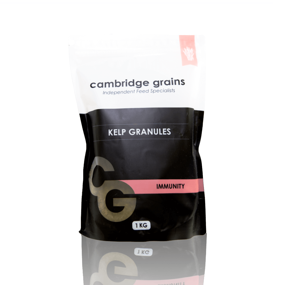 CG KELP GRANULES