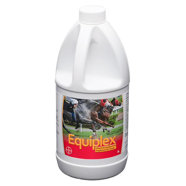 Bayer EQUIPLEX B GROUP VIT 2LT