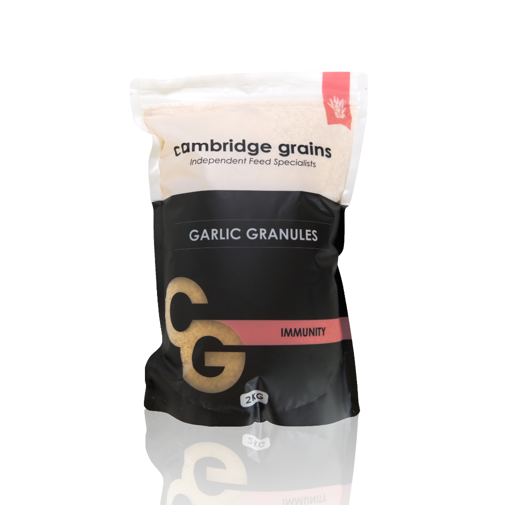 CG GARLIC GRANULES