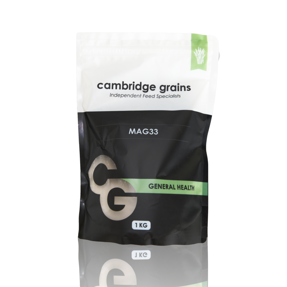CG MAG33