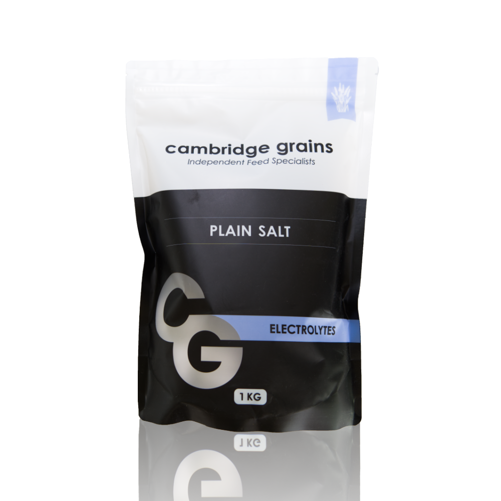 CG PLAIN SALT