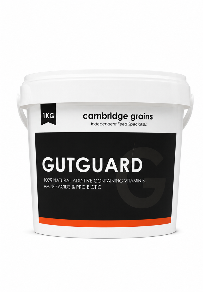 CG GUTGUARD
