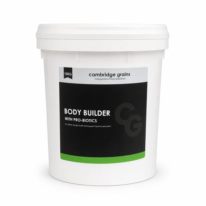 CG BODY BUILDER