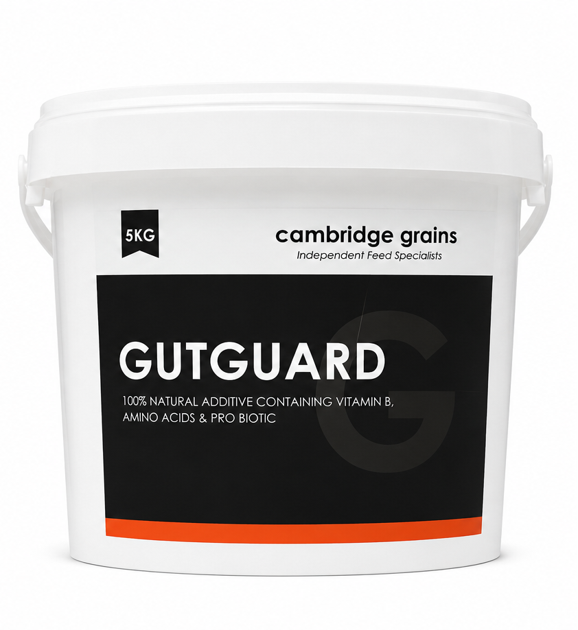 CG GUTGUARD