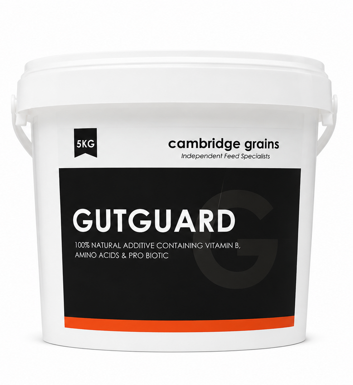 CG GUTGUARD