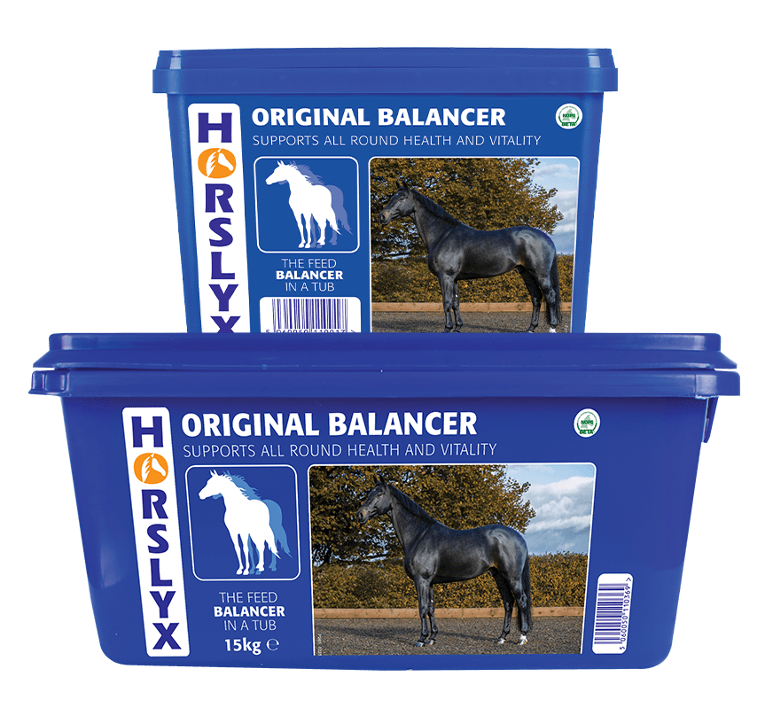HORSLYX ORIGINAL