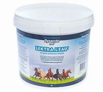 DYNAVTE LEKTRA L EAU 4KG