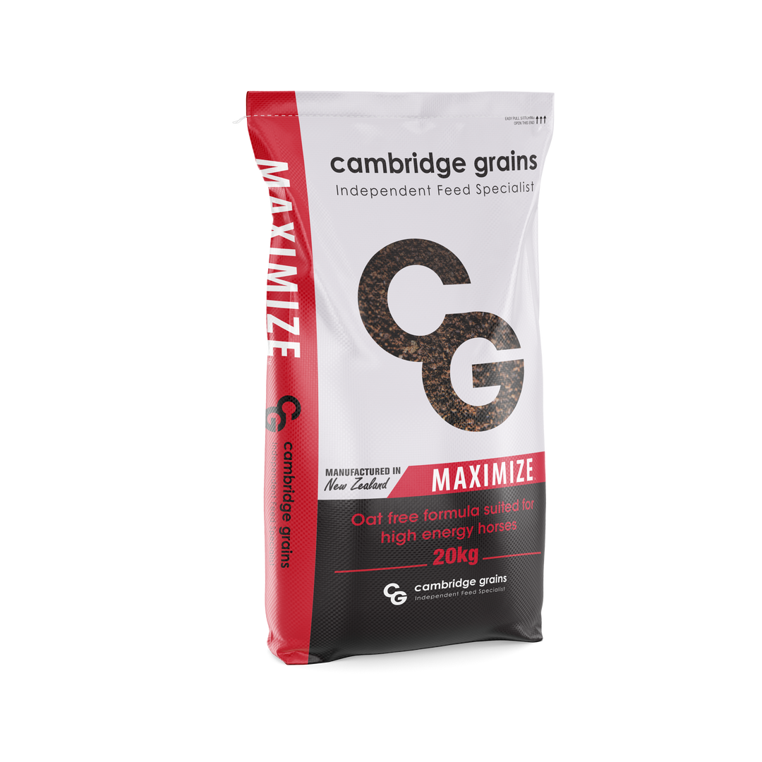 CG MAXIMIZE