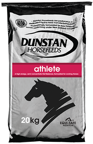 DUNSTAN - SALUTE 20KG